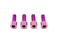 Titanium Surron Bash Guard Skid Plate Bolts for E-Motos