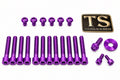 Titanium Surron Sirris F43 Fork Bolt Kit for E-Motos