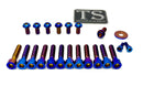 Titanium Surron Sirris F43 Fork Bolt Kit for E-Motos