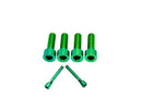 Titanium Surron 20 mm Caliper Bolt Kit for E-Motos