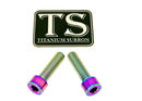 Titanium Surron Front Caliper Bolts - Sur Ron Ultra Bee