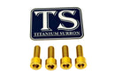 Titanium Surron Controller Mount Bolts for E-Motos
