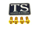 Titanium Surron Controller Mount Bolts for E-Motos
