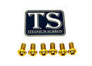Titanium Surron Controller Mount Bolts for E-Motos