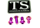 Titanium Surron Controller Mount Bolts for E-Motos