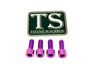 Titanium Surron Controller Mount Bolts for E-Motos