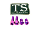 Titanium Surron Controller Mount Bolts for E-Motos