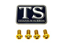 Titanium Surron Controller Mount Bolts for E-Motos