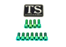 Titanium Surron EXT Ferro Fork Bolt Kit for E-Motos