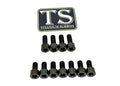 Titanium Surron EXT Ferro Fork Bolt Kit for E-Motos