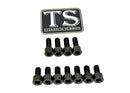Titanium Surron EXT Ferro Fork Bolt Kit for E-Motos