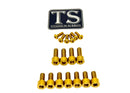 Titanium Surron EXT Ferro Fork Bolt Kit for E-Motos