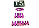 Titanium Surron EXT Ferro Fork Bolt Kit for E-Motos