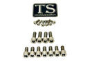 Titanium Surron EXT Ferro Fork Bolt Kit for E-Motos