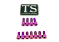 Titanium Surron EXT Ferro Fork Bolt Kit for E-Motos