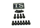 Titanium Surron EXT Ferro Fork Bolt Kit for E-Motos