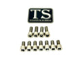 Titanium Surron EXT Ferro Fork Bolt Kit for E-Motos