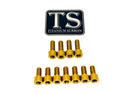 Titanium Surron EXT Ferro Fork Bolt Kit for E-Motos