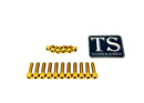 Titanium Surron FastAce Fork Bolt Kit for E-Motos