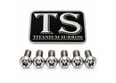 Titanium Surron Front Rotor Bolts for E-Motos