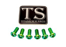 Titanium Surron Front Rotor Bolts for E-Motos