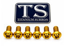 Titanium Surron Front Rotor Bolts for E-Motos
