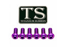 Titanium Surron Front Rotor Bolts for E-Motos