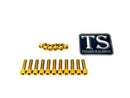 Titanium Surron KKE OEM Fork Bolt Kit - Sur Ron LBX