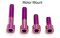 Titanium Surron Motor Mount Bolt Set - E Ride Pro