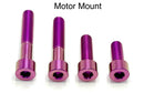 Titanium Surron Motor Mount Bolt Set - E Ride Pro