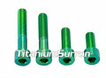 Titanium Surron Motor Mount Bolt Set - Sur Ron LBX