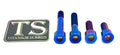 Titanium Surron Motor Mount Bolt Set - Sur Ron LBX