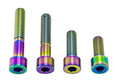 Titanium Surron Motor Mount Bolt Set - Sur Ron LBX