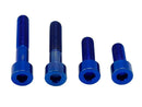 Titanium Surron Motor Mount Bolt Set - Sur Ron LBX