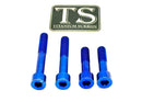 Titanium Surron Motor Mount Bolt Set - Sur Ron Ultra Bee