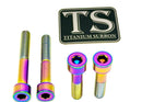 Titanium Surron Motor Mount Bolt Set - Sur Ron Ultra Bee