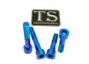 Titanium Surron Motor Mount Bolt Set - Sur Ron Ultra Bee