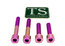 Titanium Surron Motor Mount Bolt Set - Sur Ron Ultra Bee