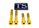 Titanium Surron Motor Mount Bolt Set - Sur Ron Ultra Bee