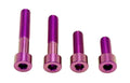 Titanium Surron Motor Mount Bolt Set - Talaria XXX