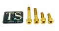 Titanium Surron Motor Mount Bolt Set - Talaria XXX