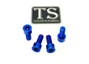 Titanium Surron Peg Bracket Bolt Set for E-Motos