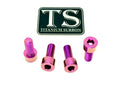 Titanium Surron Peg Bracket Bolt Set for E-Motos