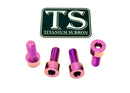 Titanium Surron Peg Bracket Bolt Set for E-Motos