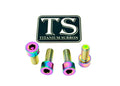Titanium Surron Peg Bracket Bolt Set for E-Motos
