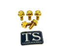 Titanium Surron Sprocket Bolt Set for E-Motos