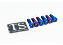 Titanium Surron Sprocket Bolt Set for E-Motos