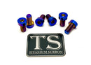 Titanium Surron Sprocket Bolt Set for E-Motos