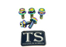 Titanium Surron Sprocket Bolt Set for E-Motos