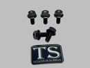 Titanium Surron Sprocket Bolt Set for E-Motos